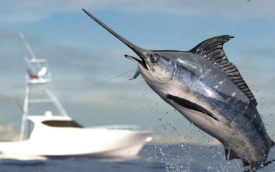 Fiestas de Noviembre en Puerto Escondido