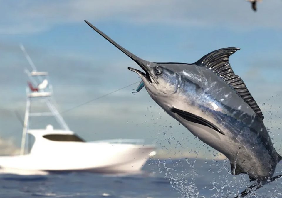 Fiestas de Noviembre en Puerto Escondido